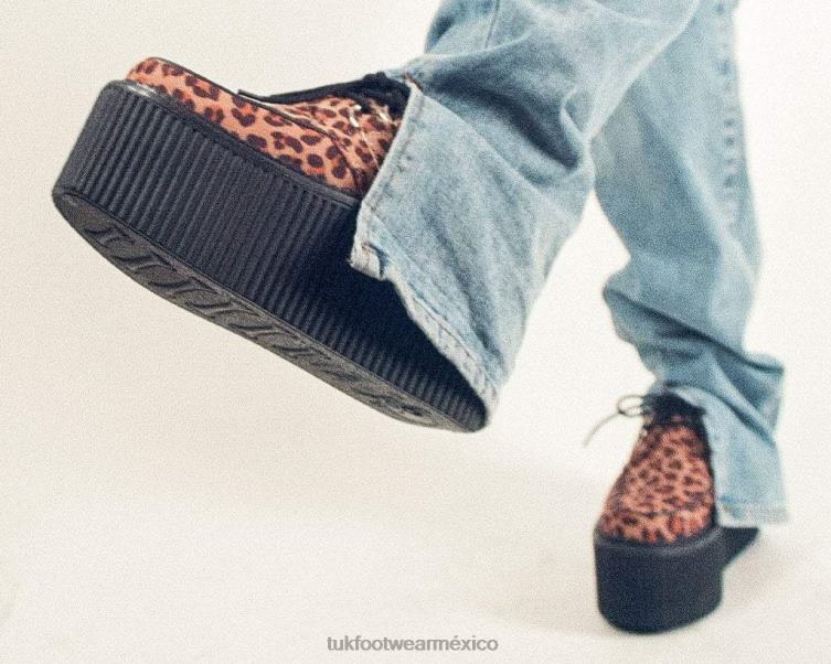 mx T.U.K. Footwear mujer estratocreeper clásico de tela leopardo 6ZJ4Z76 calzado